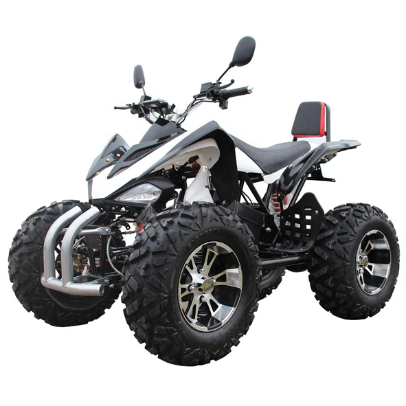 Small electric ATV